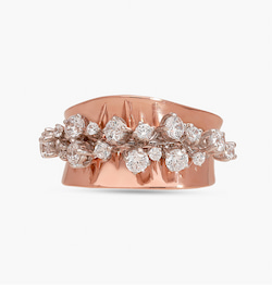 The Galaxy Rose Ring